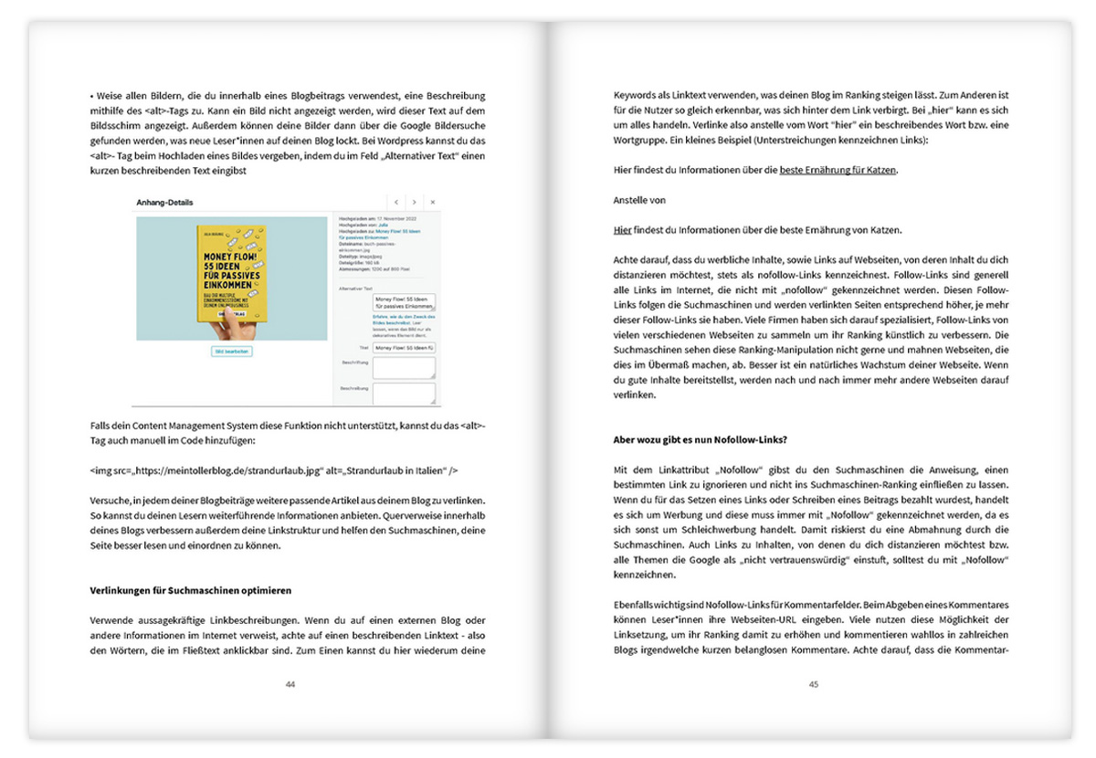 Blog-Traffic Booster