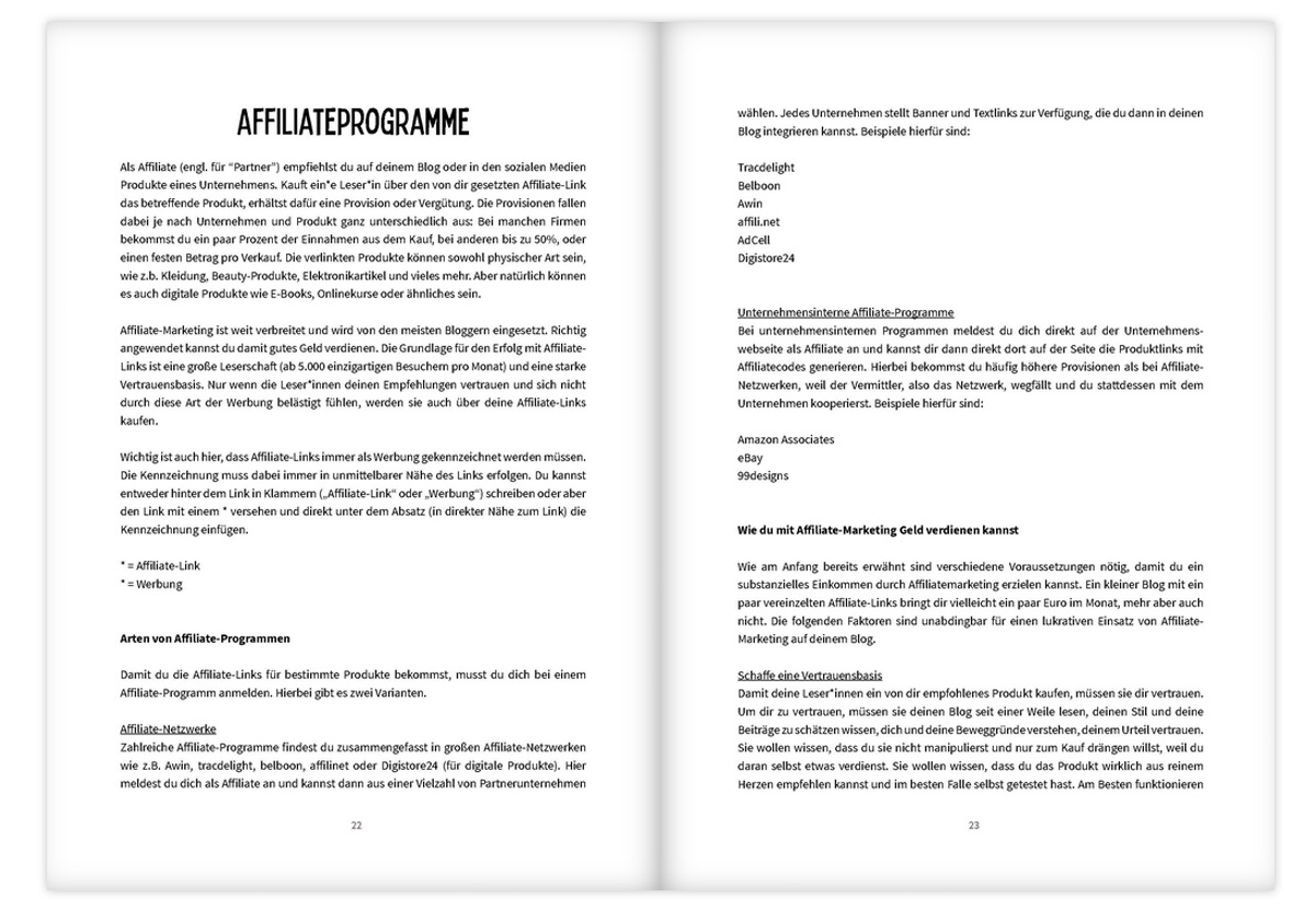 Mit deinem Blog Geld verdienen